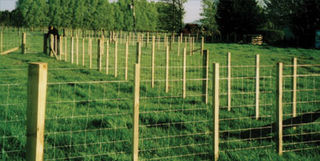 Post and Netting Fence